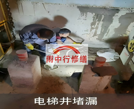 黑河星雨华府电梯井堵漏案例